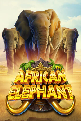 Демо игра African Elephant на сайте игровых автоматов JoyCasino